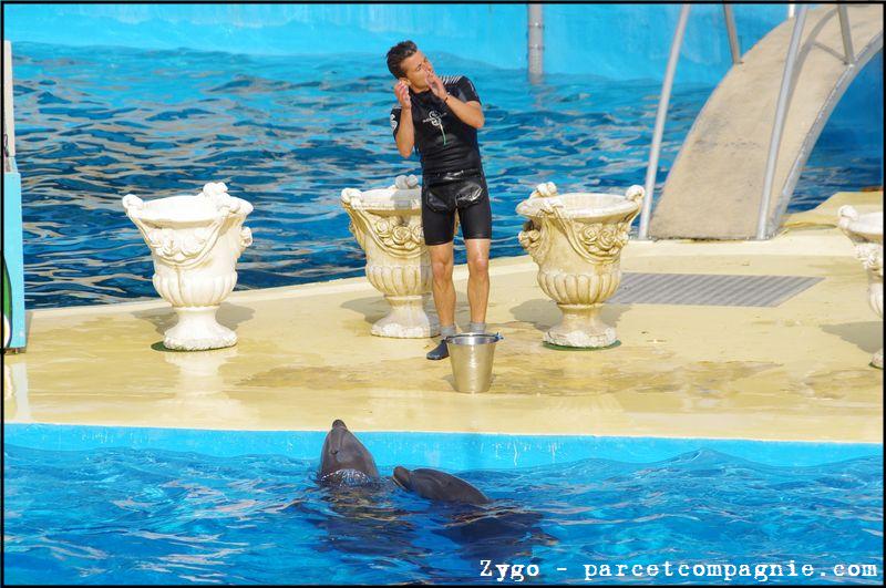 Marineland - Dauphins - Spectacle - 18h00 - 0513