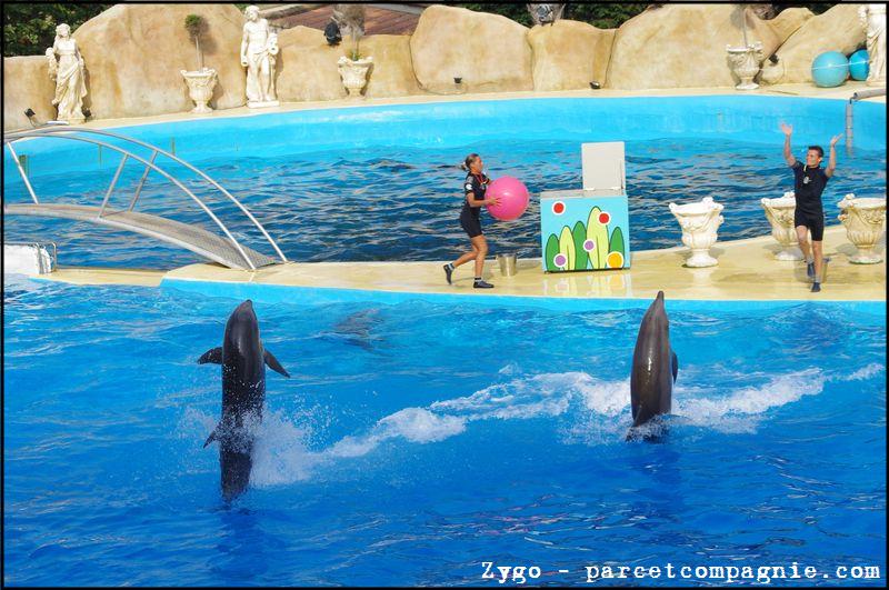 Marineland - Dauphins - Spectacle - 18h00 - 0514