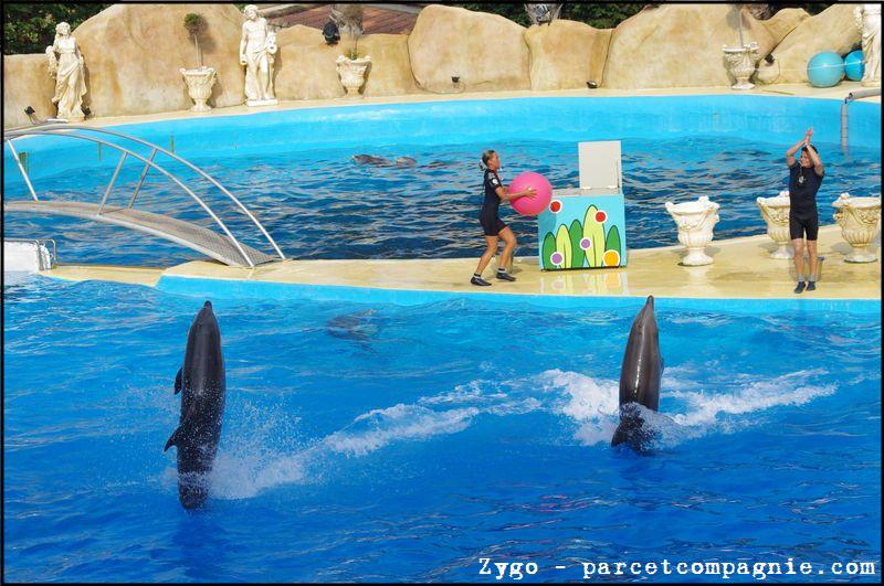 Marineland - Dauphins - Spectacle - 18h00 - 0515