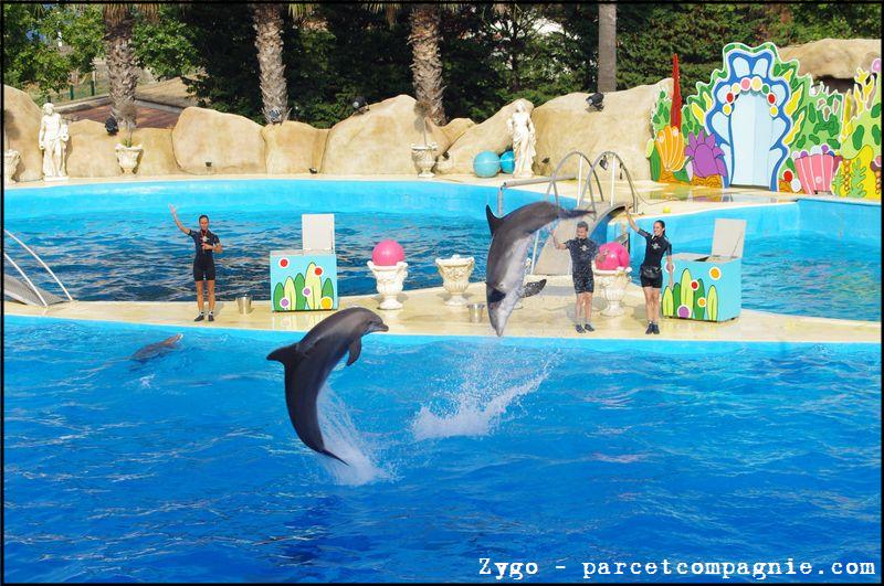 Marineland - Dauphins - Spectacle - 18h00 - 0517