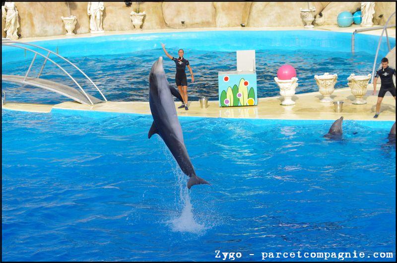 Marineland - Dauphins - Spectacle - 18h00 - 0519