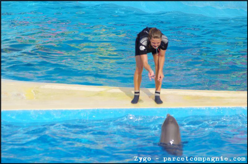 Marineland - Dauphins - Spectacle - 18h00 - 0523
