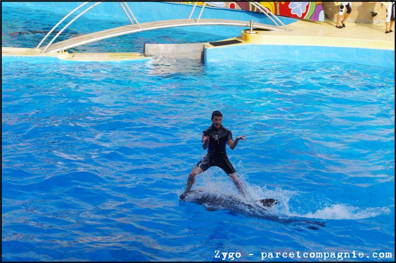 Marineland - Dauphins - Spectacle - 18h00 - 0524
