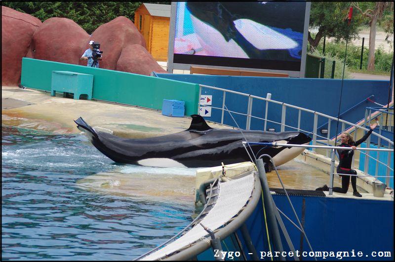 Marineland - Orques - Spectacle - 14h45 - 0760