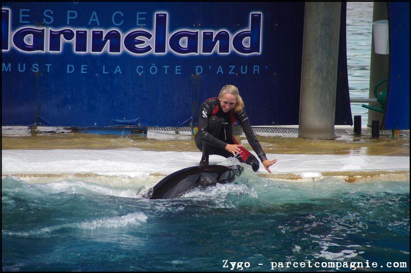Marineland - Orques - Spectacle - 14h45 - 0795
