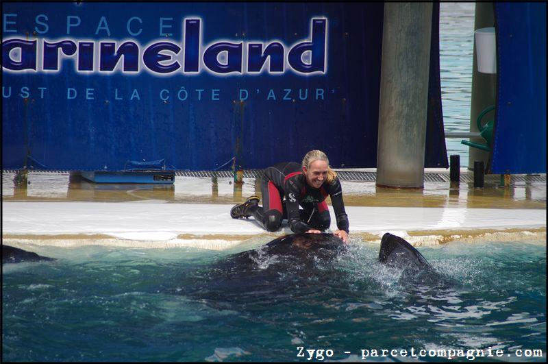 Marineland - Orques - Spectacle - 14h45 - 0798