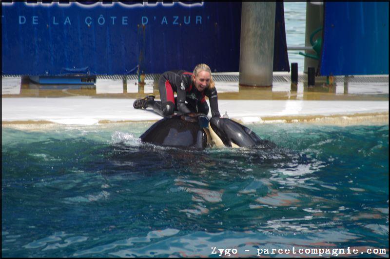 Marineland - Orques - Spectacle - 14h45 - 0799