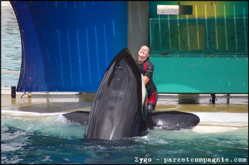 Marineland - Orques - Spectacle - 14h45 - 0802