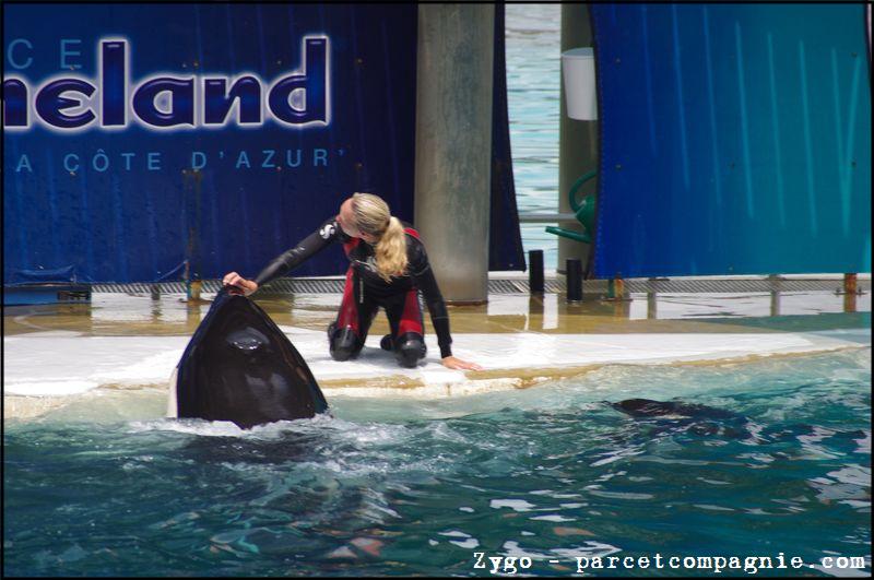 Marineland - Orques - Spectacle - 14h45 - 0803