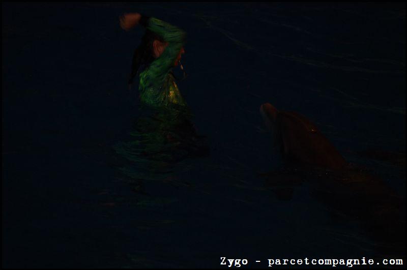 Marineland - Dauphins - Spectacle Nocturne - 0927