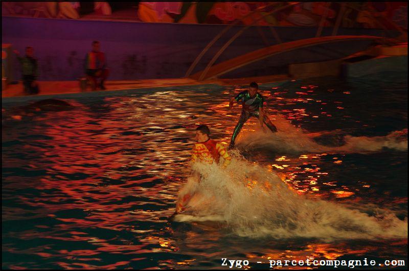 Marineland - Dauphins - Spectacle Nocturne - 0990