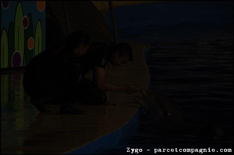 Marineland - Dauphins - Spectacle Nocturne - 1005