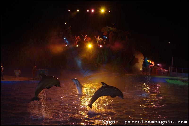 Marineland - Dauphins - Spectacle Nocturne - 1376