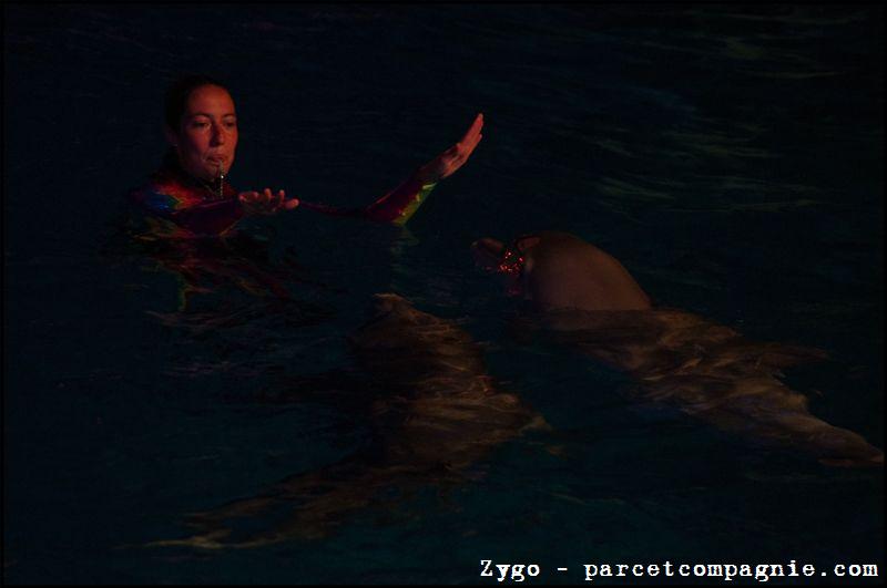Marineland - Dauphins - Spectacle nocturne - 1540