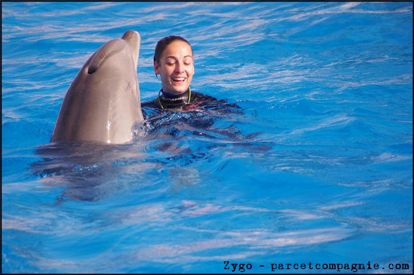 Marineland - Dauphins - Spectacle 14h30 - 030