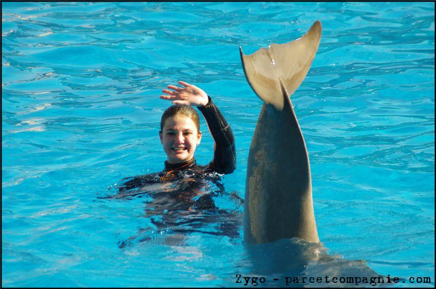 Marineland - Dauphins - Spectacle 14h30 - 061