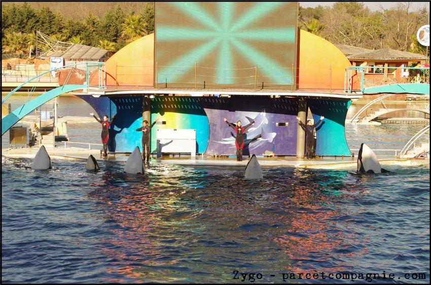 Marineland - Orques - Spectacle 15h30 - 126