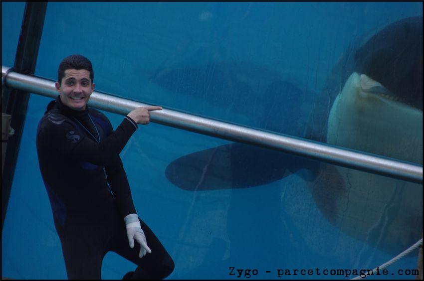 Marineland - Orques - Spectacle 15h30 - 154