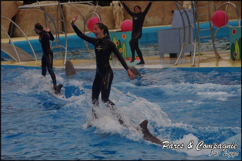 Marineland - Dauphins - Spectacle 17h00 - 076