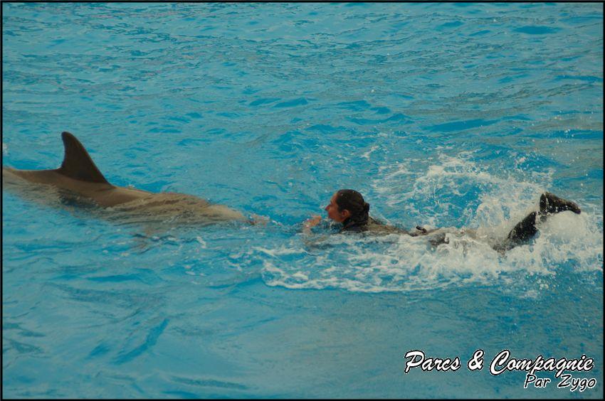 Marineland - Dauphins - Spectacle 17h00 - 120