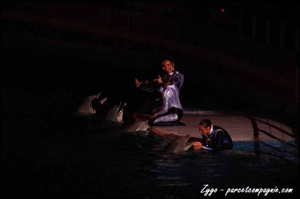 Marineland - Dauphins - Spectacle nocturne - 059