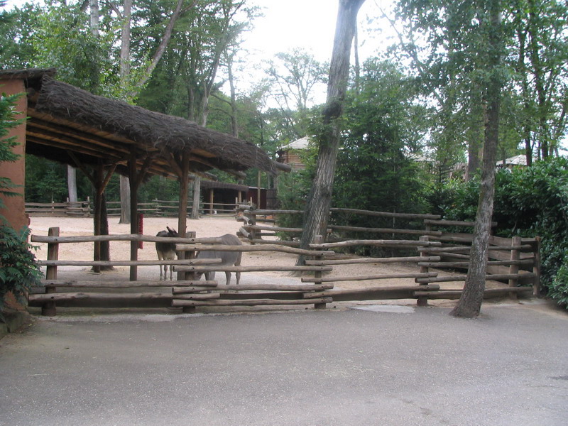 Zoo Amneville 021