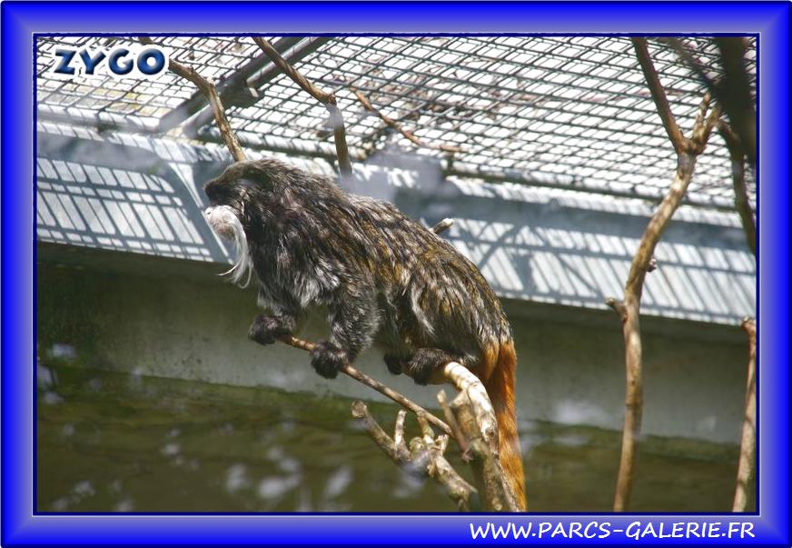 Zoo Mulhouse 036
