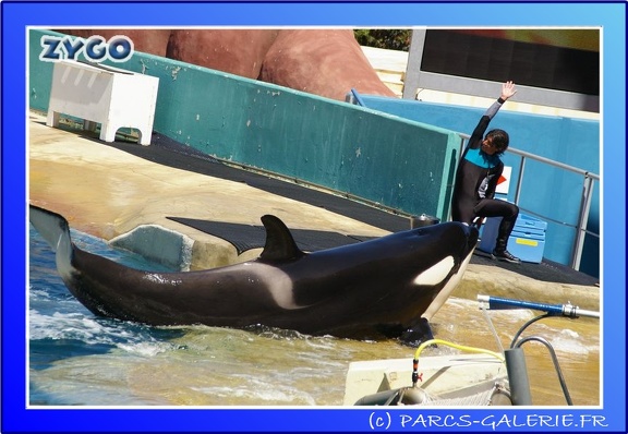 Marineland - Orques - Spectacle - 15h00 - 0114