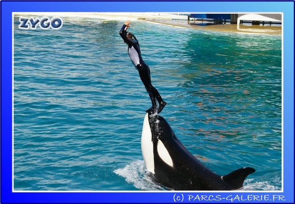 Marineland - Orques - Spectacle - 15h00 - 0118