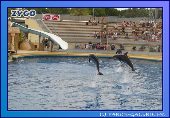 Marineland - Dauphins - Spectacle 17h45 - 0656