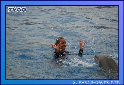 Marineland - Dauphins - Spectacle 17h45 - 0664