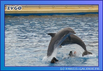 Marineland - Dauphins - Spectacle 17h45 - 0671