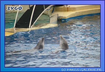 Marineland - Dauphins - Spectacle 17h45 - 0678