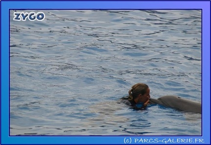 Marineland - Dauphins - Spectacle 17h45 - 0679
