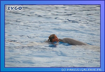 Marineland - Dauphins - Spectacle 17h45 - 0682