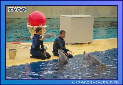 Marineland - Dauphins - Spectacle 17h45 - 0686