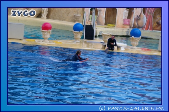 Marineland - Dauphins - Spectacle 17h45 - 0862