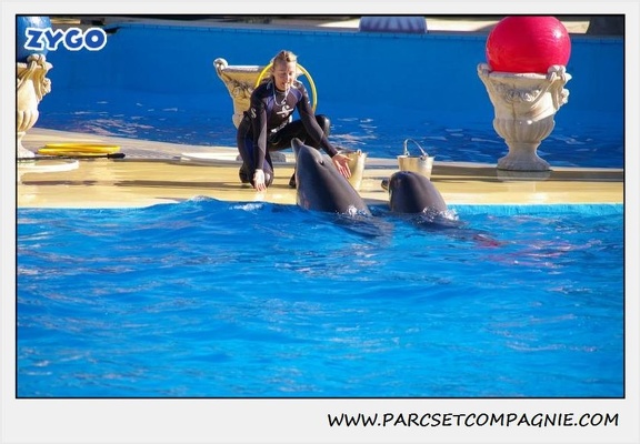 Marineland - Dauphins - Spectacle 14h30 - 0192