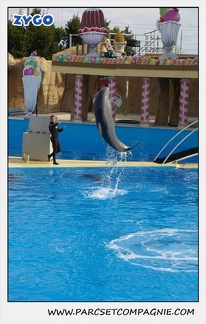 Marineland - Dauphins - Spectacle 14h30 - 0453