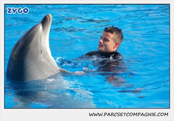 Marineland - Dauphins - Spectacle 14h30 - 0465