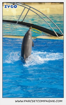 Marineland - Dauphins - Spectacle 14h30 - 0472