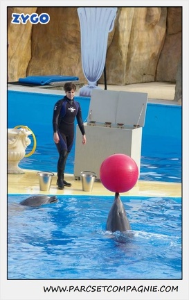 Marineland - Dauphins - Spectacle 14h30 - 0475