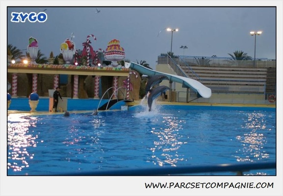 Marineland - Dauphins - Spectacle 17h30 - 0510