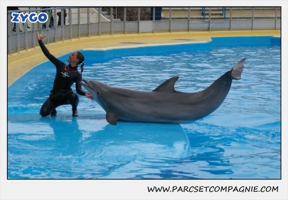 Marineland - Dauphins - Spectacle 17h15 - 1257