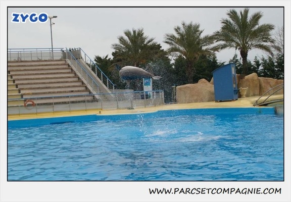 Marineland - Dauphins - Spectacle 17h15 - 1291