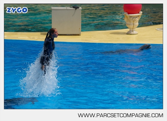 Marineland - Dauphins - Spectacle - 14h30 - 3714