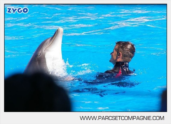 Marineland - Dauphins - Spectacle - 14h30 - 5879