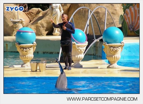 Marineland - Dauphins - Spectacle - 14h30 - 5883