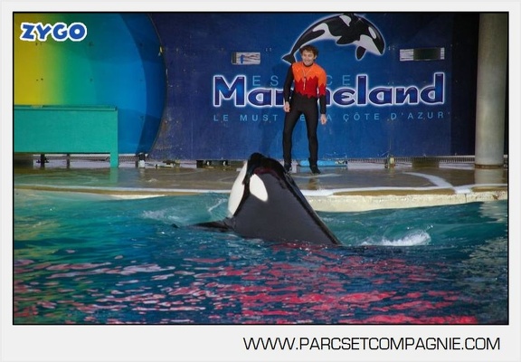 Marineland - Orques - Spectacle - 7987