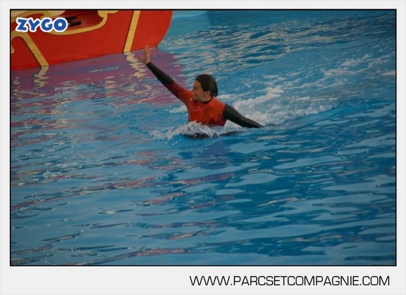 Marineland - Dauphins - Spectacle 14h45 - 0002